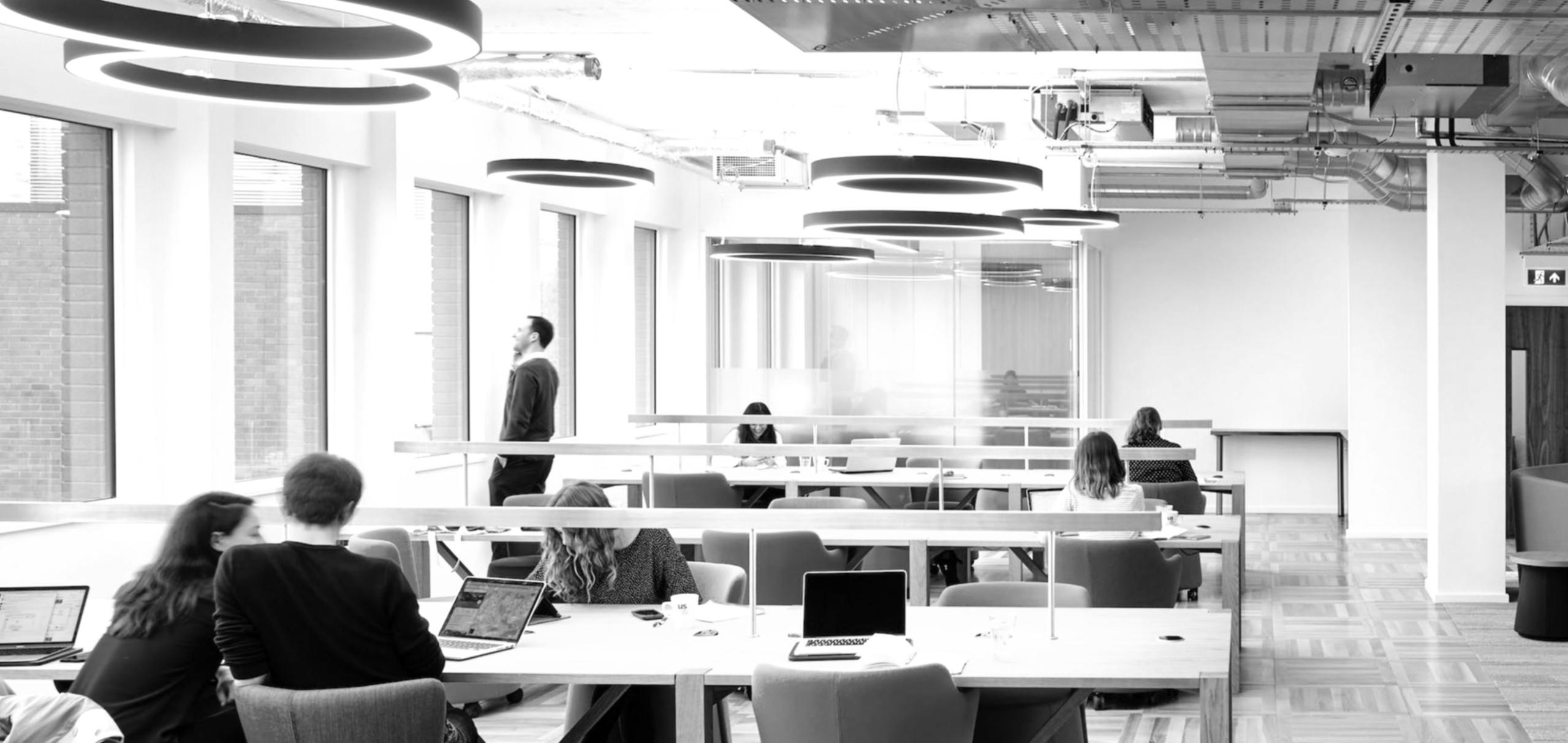 Instalaciones profesionales de KashX-Vault en Bilbao para seminarios de psicología del trading